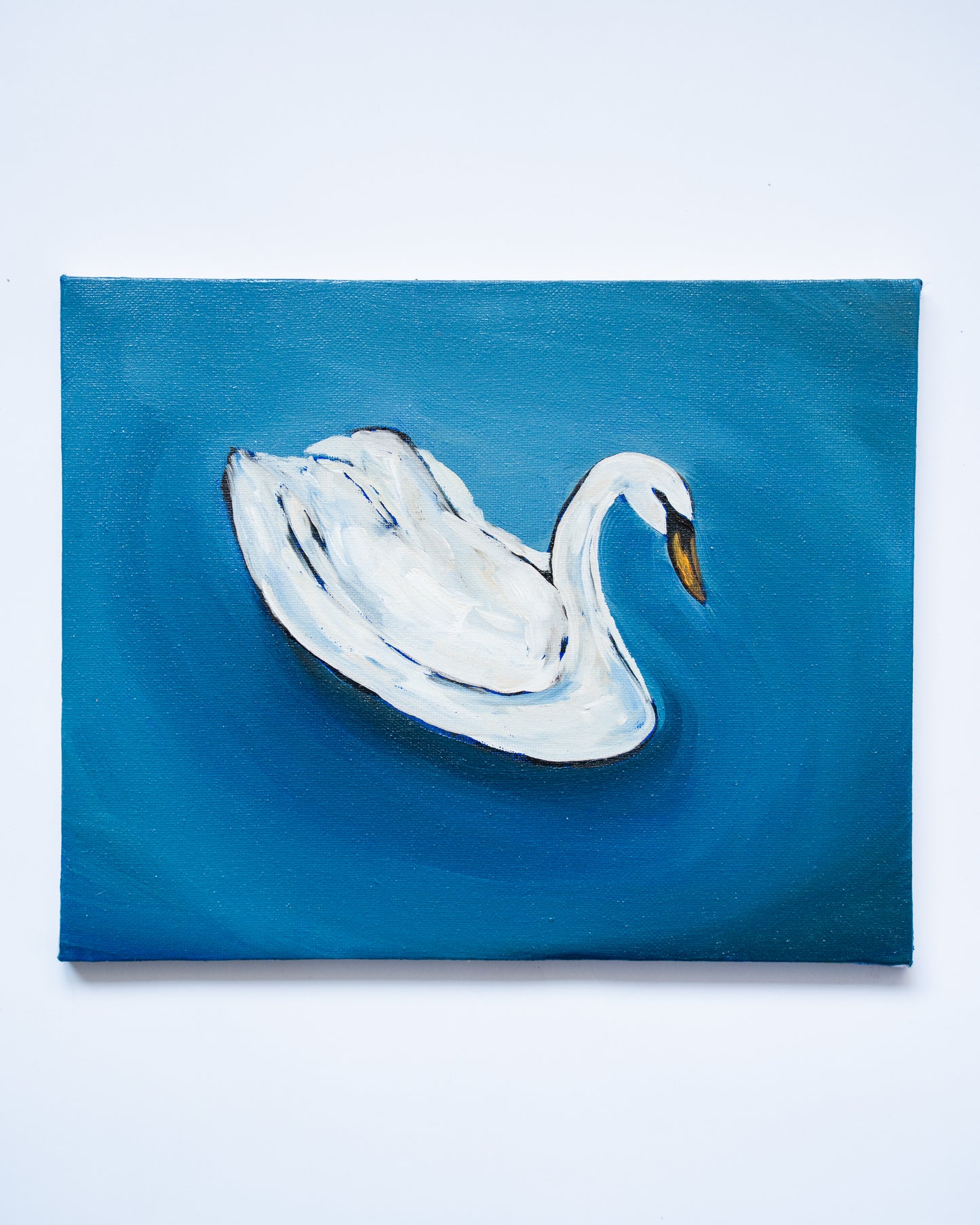 Regents Park Swan